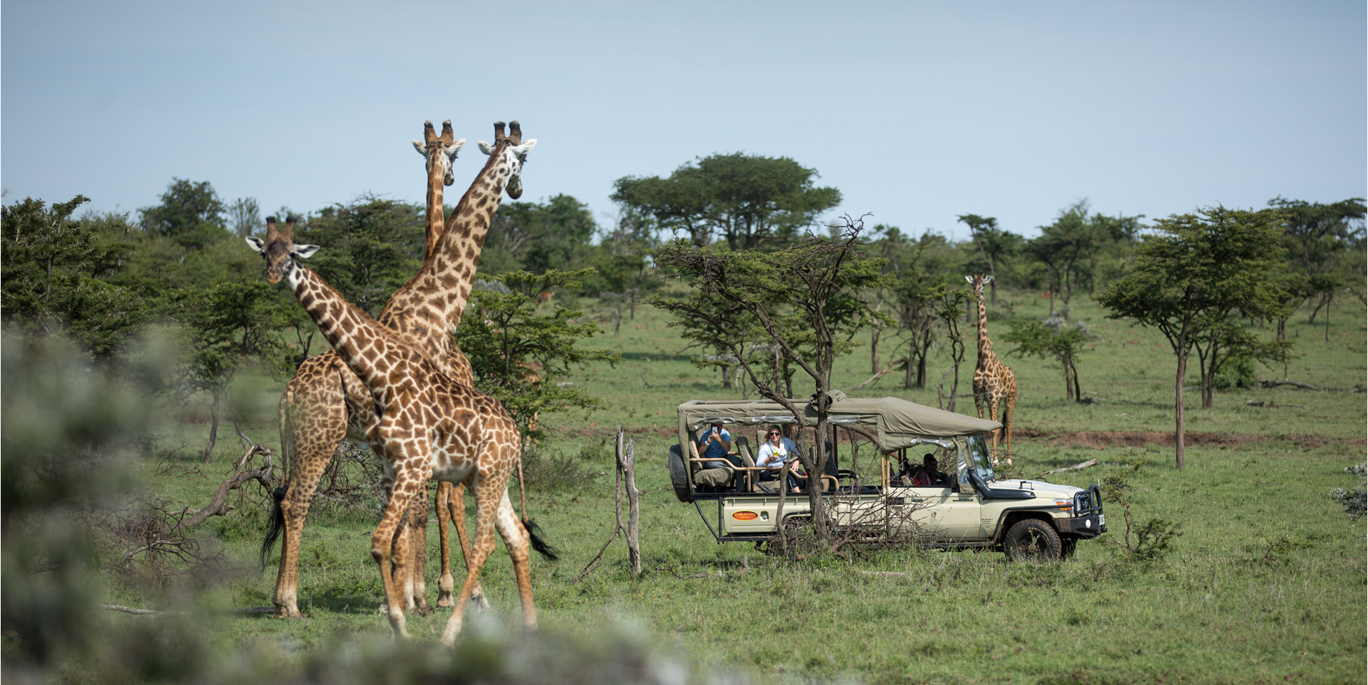kenya ministry of tourism and wildlife