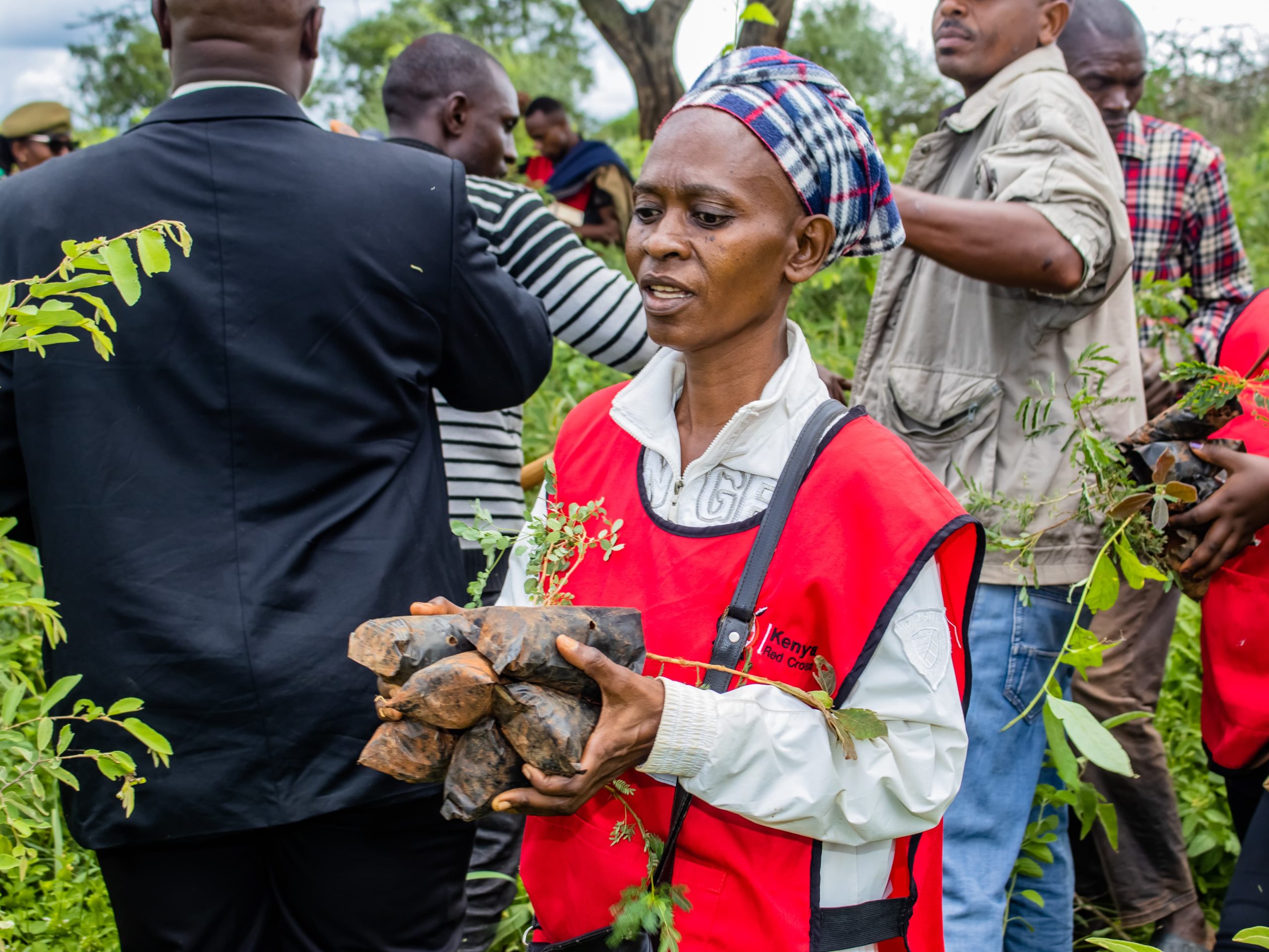 Ministry staff and personnel from associated parastatals in a tree-planting exercise within the Lumo Community Wildlife Conservancy