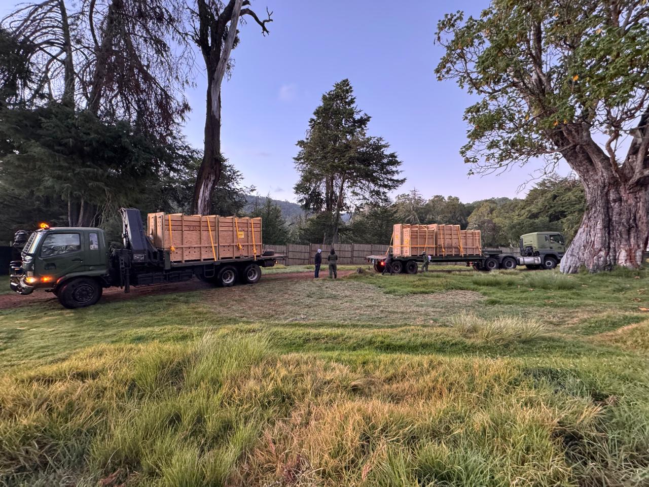 Kenya Welcomes 17 Mountain Bongos From the USA – 24/02/2025